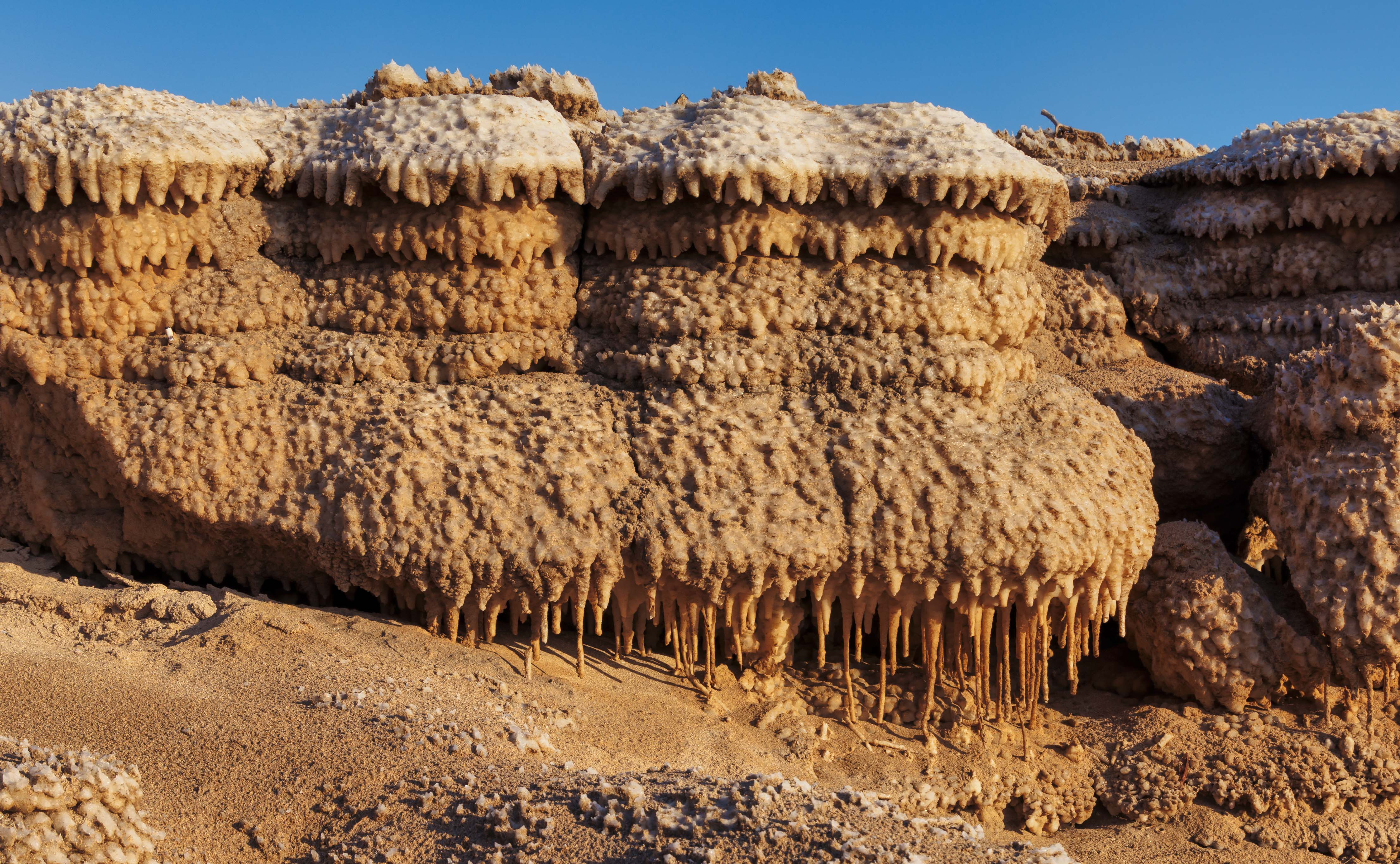 20211225-December 25, 2021-075245-075245-Edit.jpg